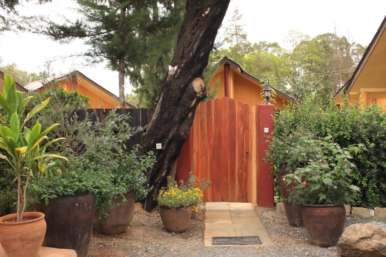 Hotel Le Rustique à Nanyuki Extérieur photo